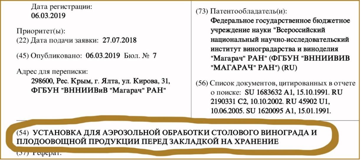 Название патента RU187477U1